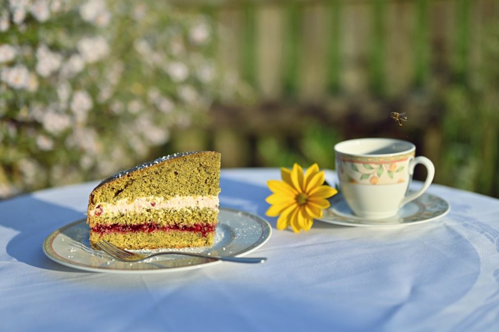 Ein Stück Kürbiskerntorte auf einem Teller, eine Tasse Kaffee im Hintergrund.